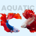 Aquatic supplies