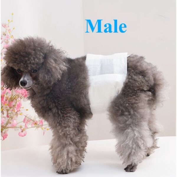 Pakeway Male Dog Pet Diaper-Medium (30-48Cm)-12pcs/pack - Image 3
