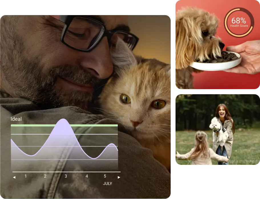 pet monitoring