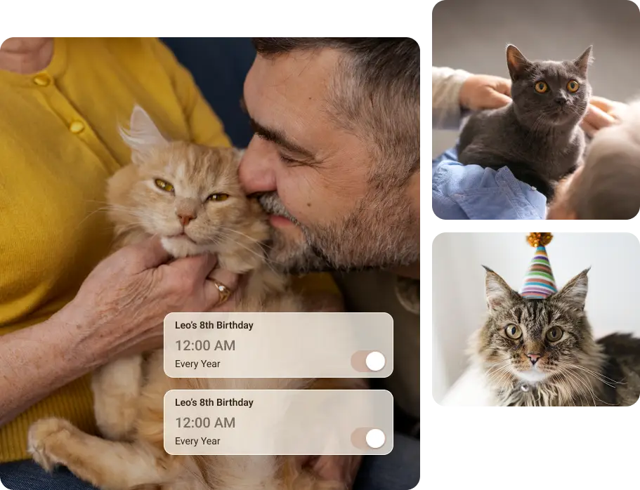 cat tracking device