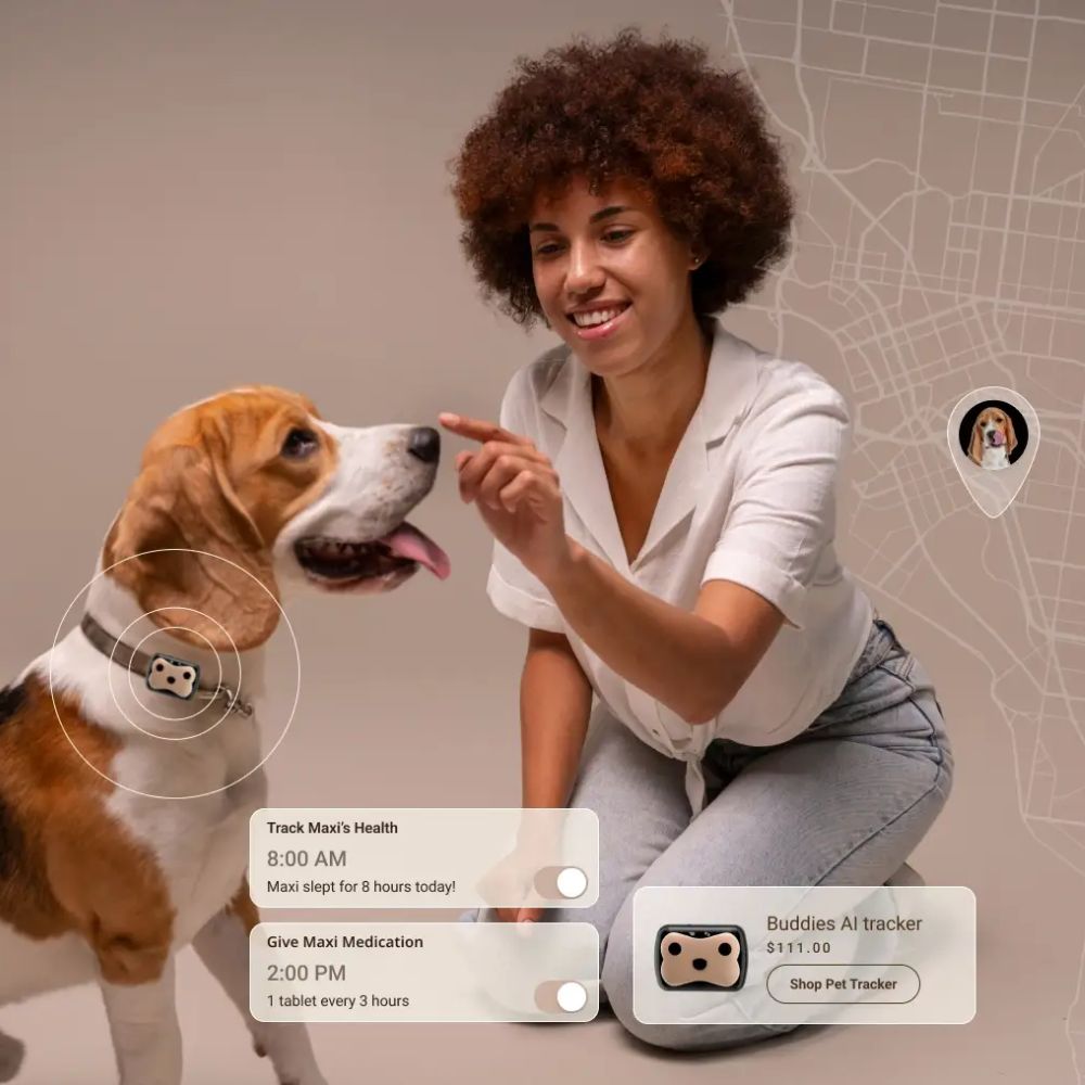 pet tracking