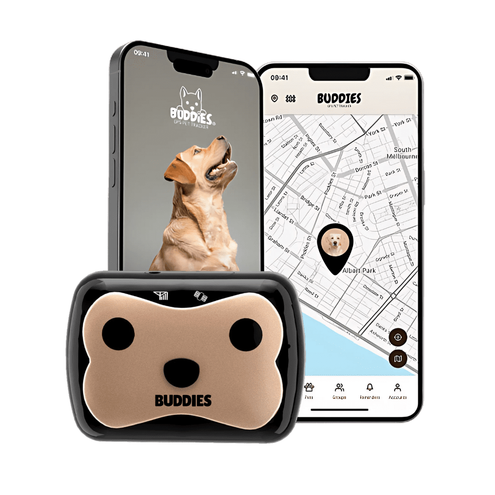 buy buddies pet tracker