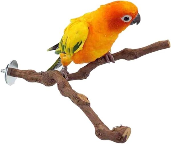 Cozy Paws Natural Bird Perch Stand Pole-Bifurcation-23*2 Cm - Image 2