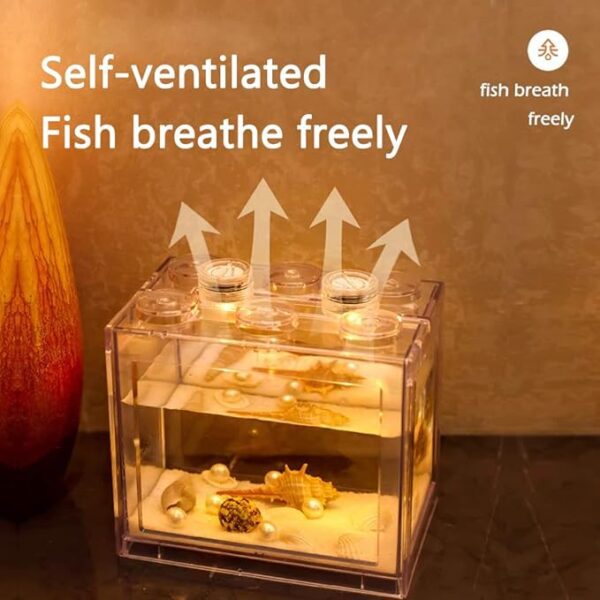 Cozy Paws Mini Betta Fish Tank-15.5 *10.5 *14cm - Image 5