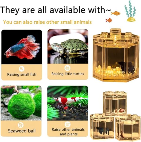 Cozy Paws Mini Betta Fish Tank-15.5 *10.5 *14cm - Image 2