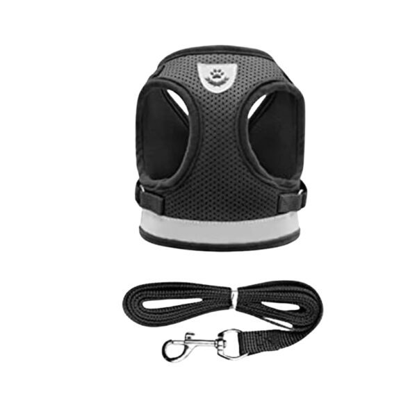 Cozy Paws No Pull Adjustable Dog Harness  with Leash Set -Black