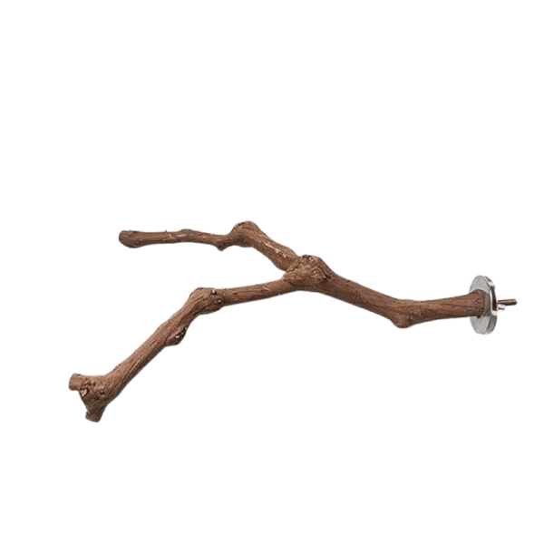 Cozy Paws Natural Bird Perch Stand Pole-Bifurcation-23*2 Cm