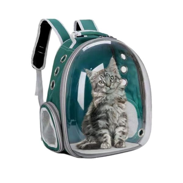 Cozy Paws Transparent Breathable Pet Carrier Bag-Back Pack 31*25*42cm