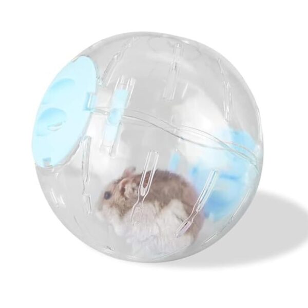 Cozy Paws Transparent Hamster Running Ball- 14*8*10.5cm