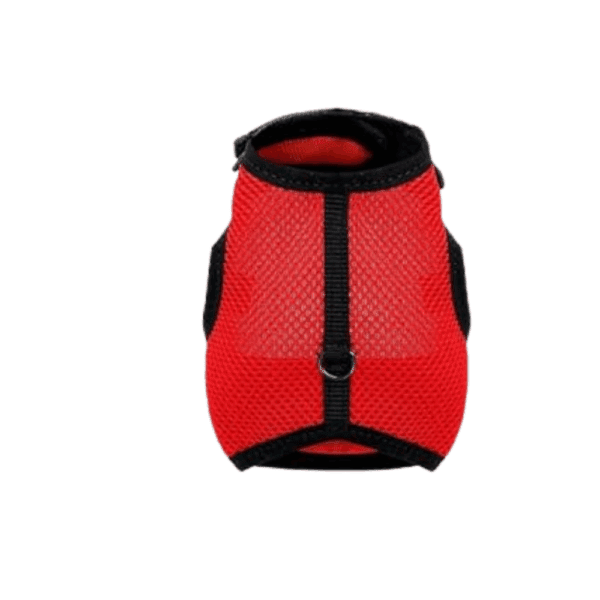 Cozy Paws Adjustable Rabbit Harness-Small