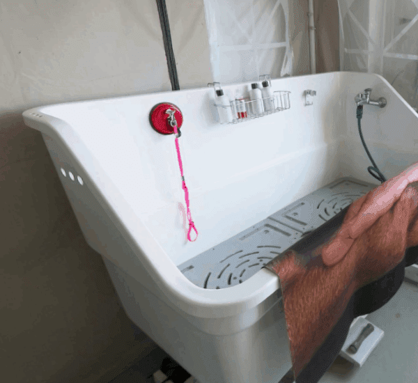 Aeolus Detachable Anchor Suction Cup-12Cm - Image 5