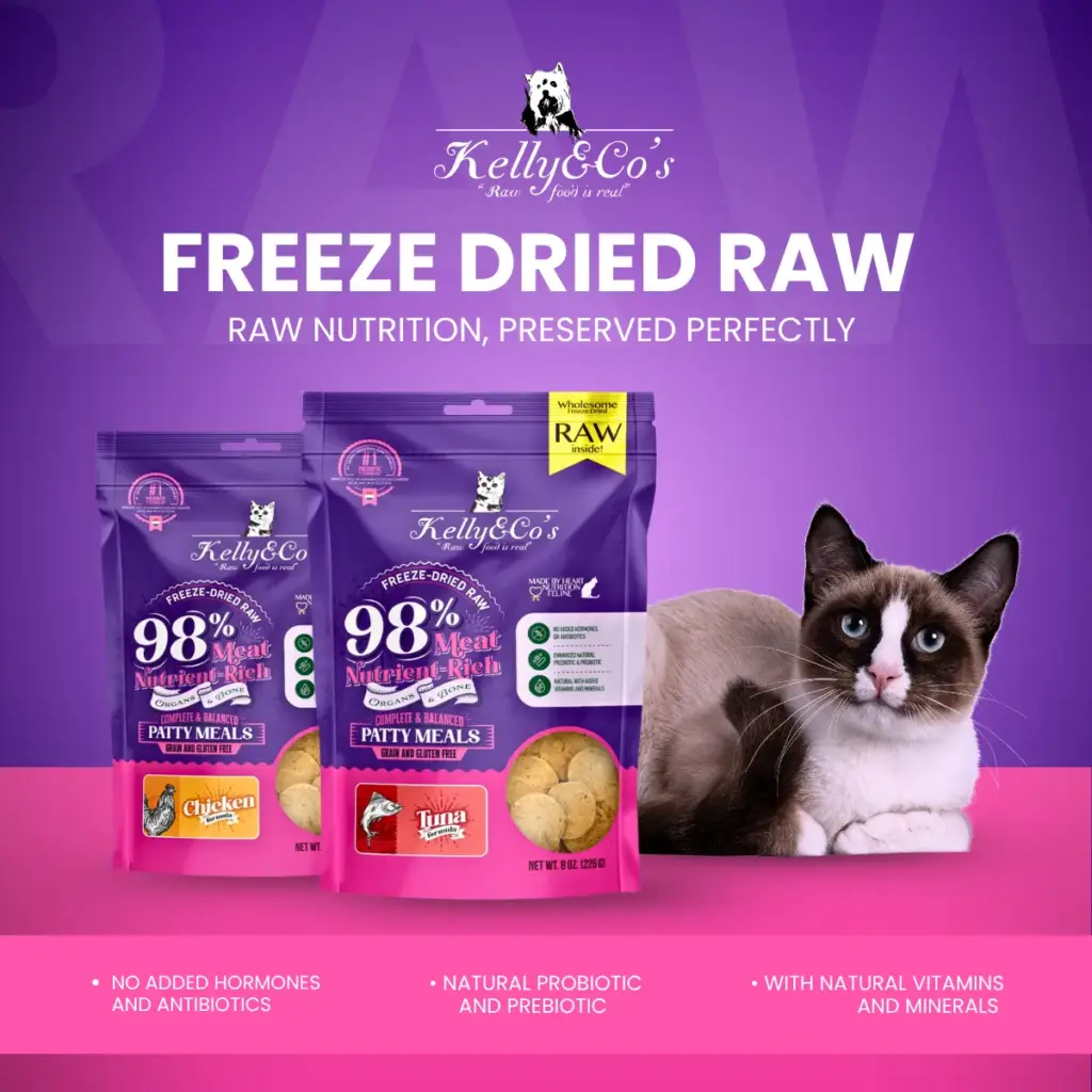 kelly and co raw treats
