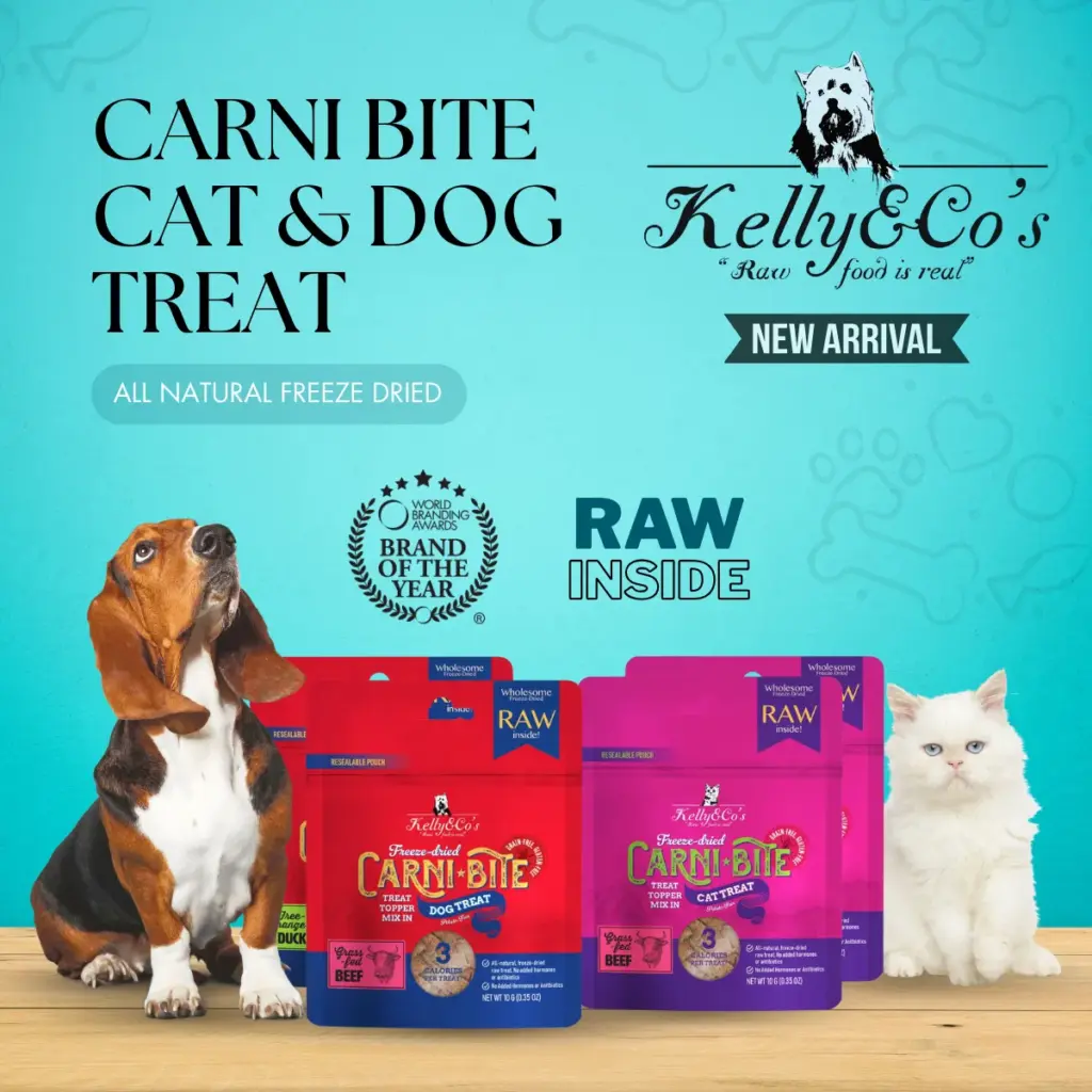 kelly & co new arrival products