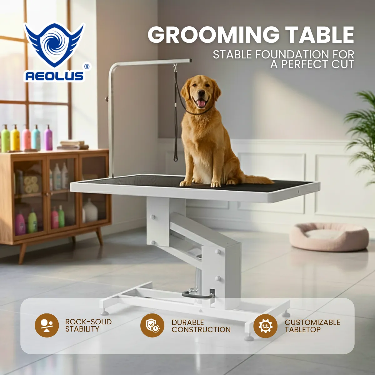 Pet grooming Table Aeolus