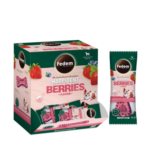 Fedem Happident Regular Dog Treats – Berries Flavour 20g x 48pcs