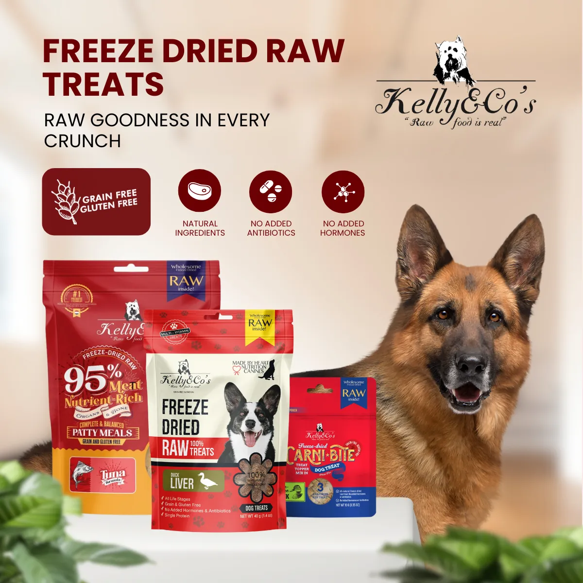 kelly dog food