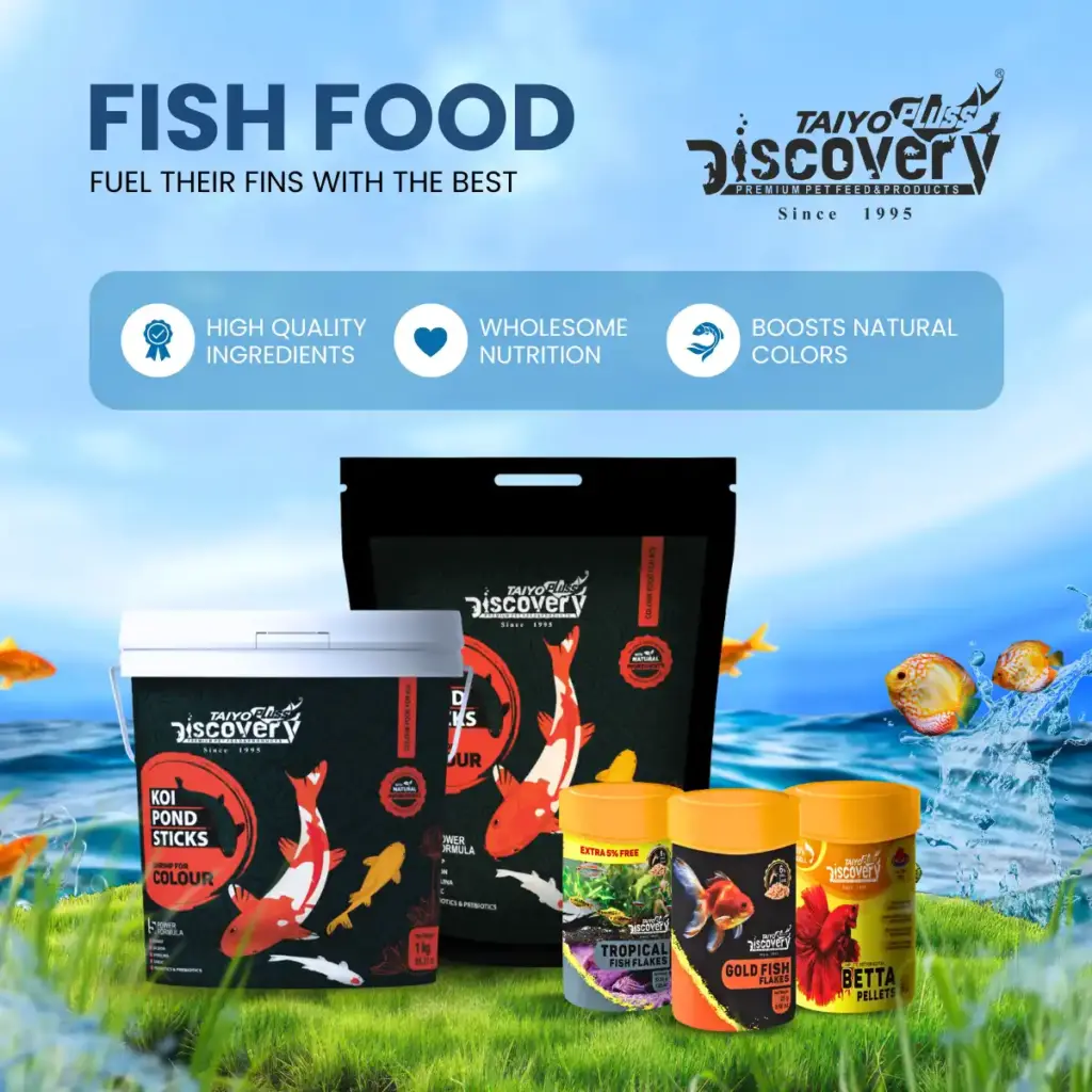 aquarium fish food