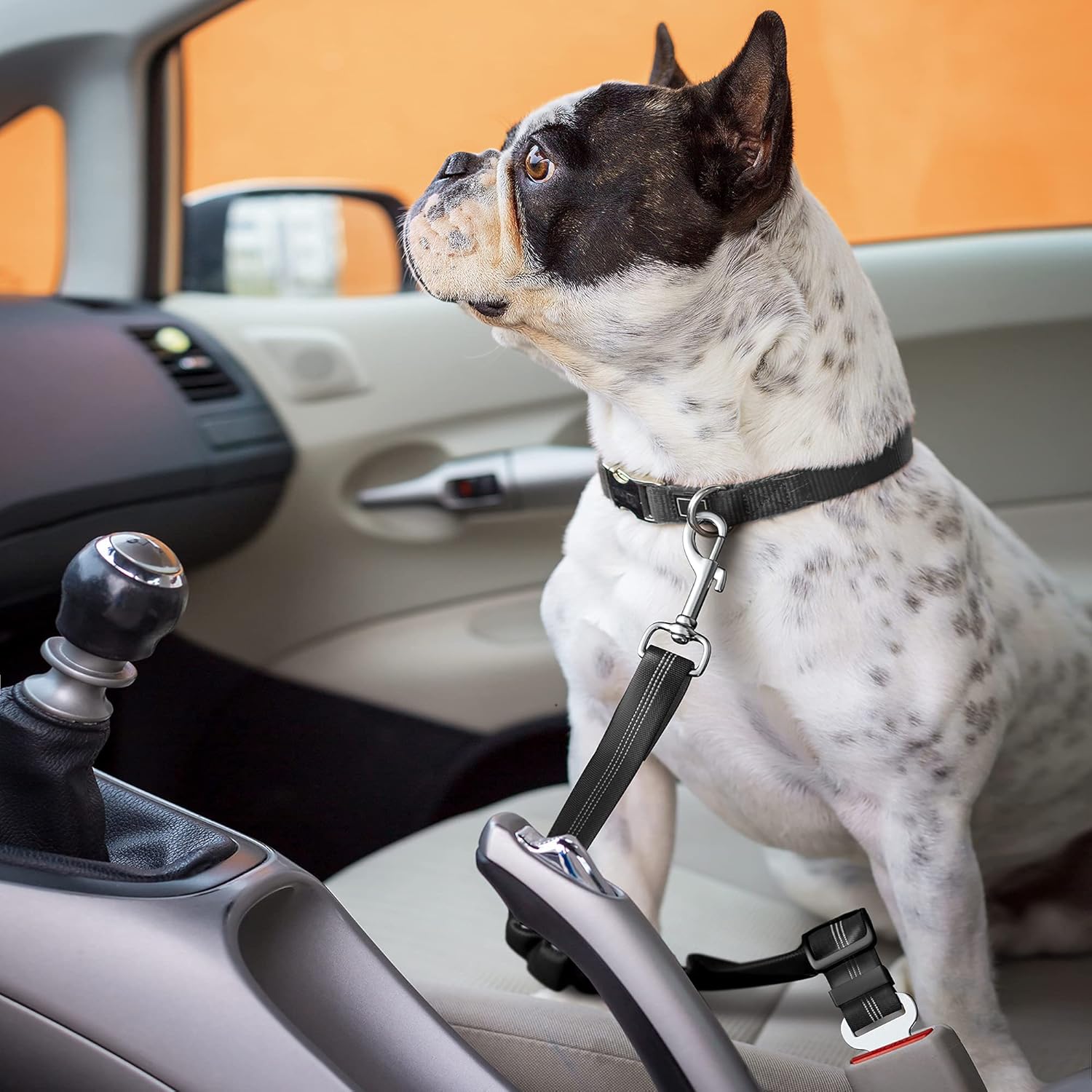 Cozy Paws Reflective Adjustable Dog Seat Belt with Shock Absorber - Image 5
